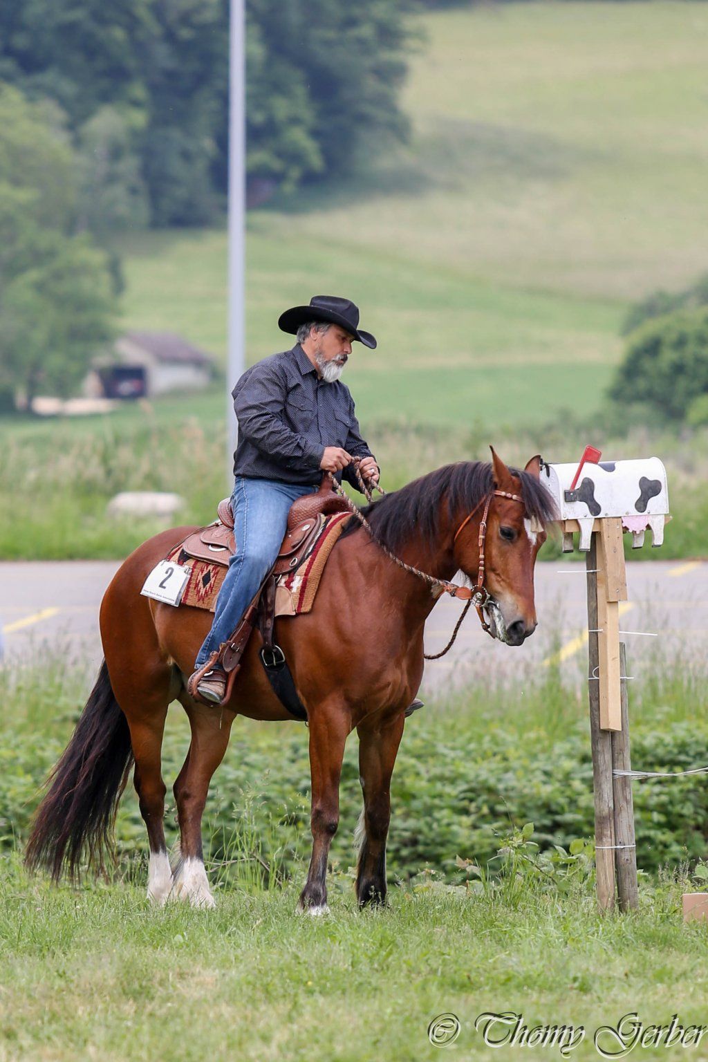 Swiss Ranch Horse Association - SRHA