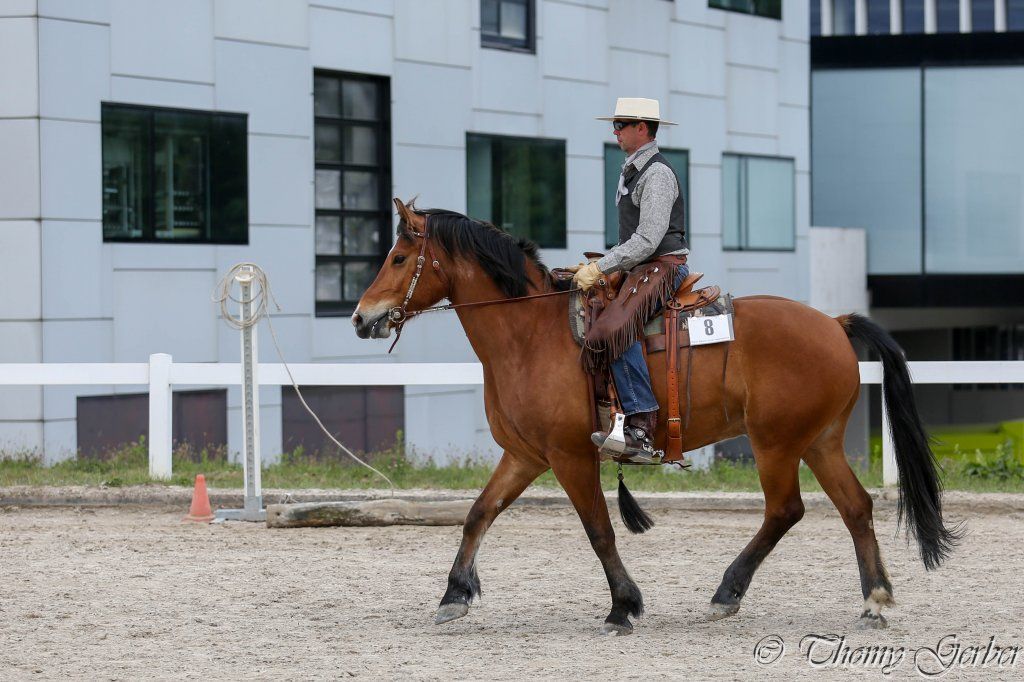 Swiss Ranch Horse Association - SRHA