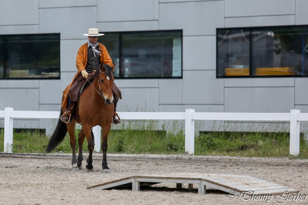 Swiss Ranch Horse Association - SRHA