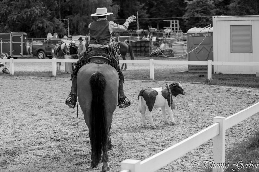 Swiss Ranch Horse Association - SRHA