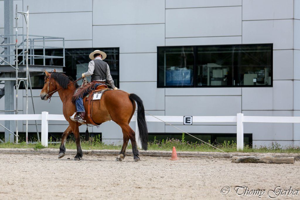 Swiss Ranch Horse Association - SRHA