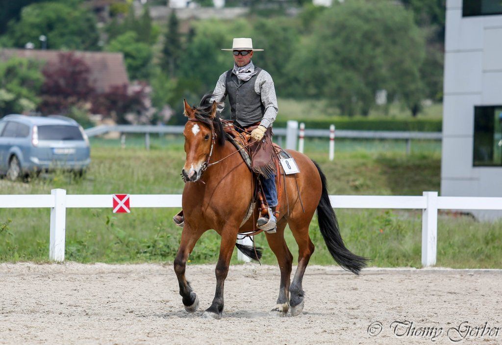 Swiss Ranch Horse Association - SRHA