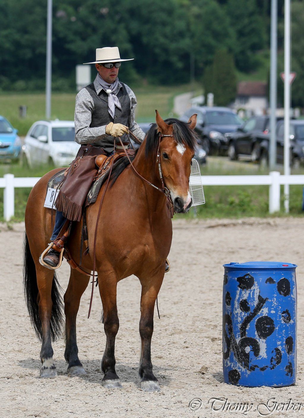 Swiss Ranch Horse Association - SRHA