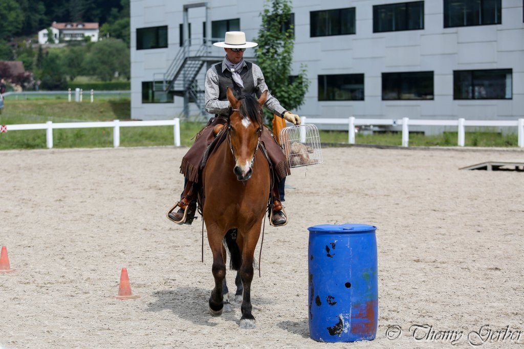 Swiss Ranch Horse Association - SRHA
