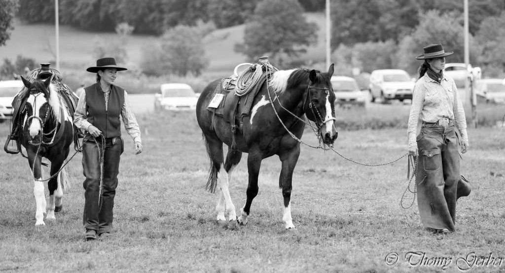 Swiss Ranch Horse Association - SRHA