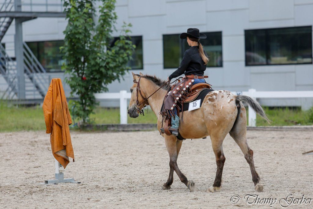 Swiss Ranch Horse Association - SRHA