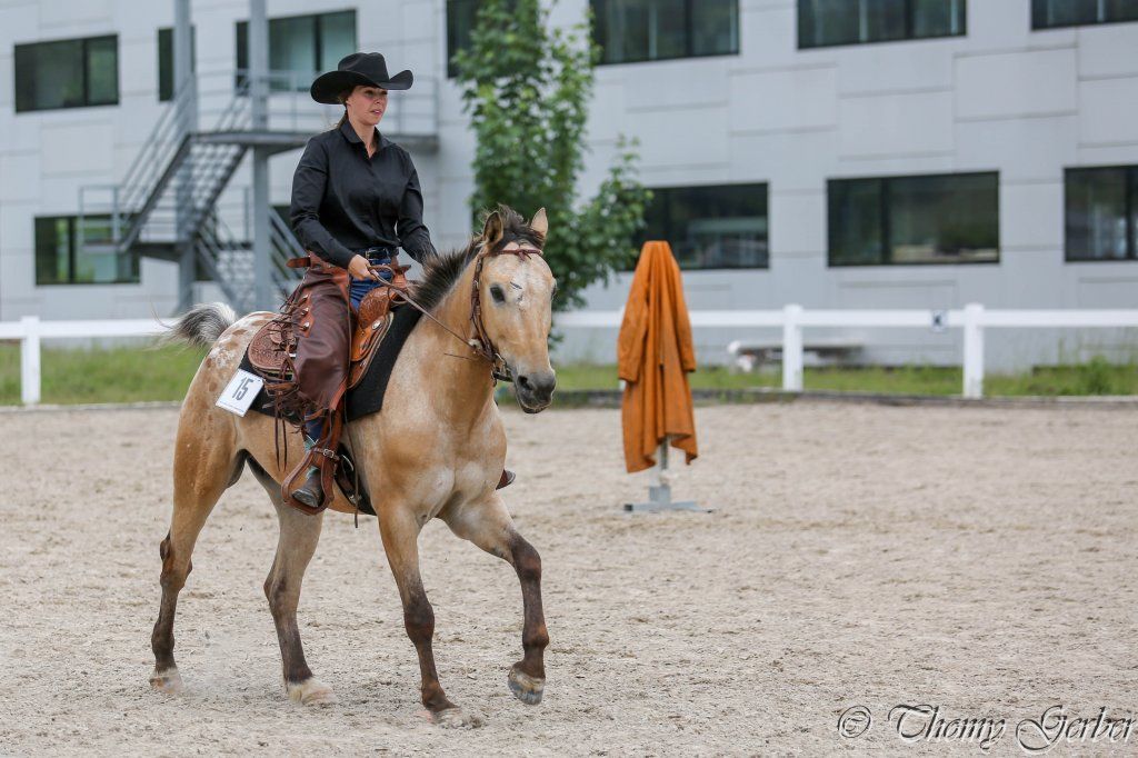 Swiss Ranch Horse Association - SRHA