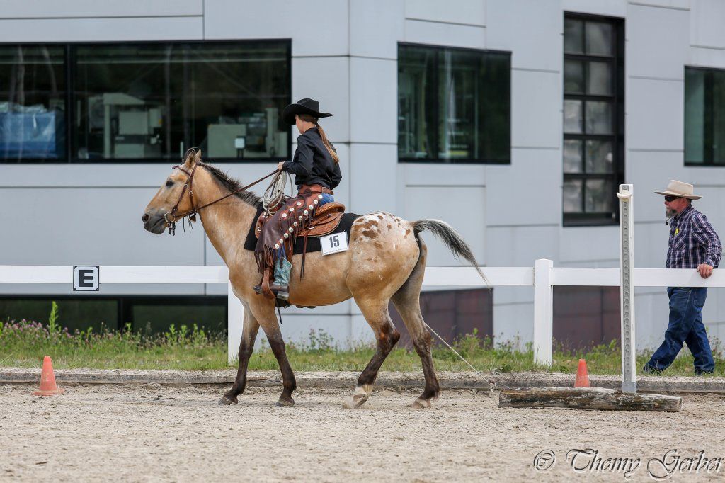 Swiss Ranch Horse Association - SRHA