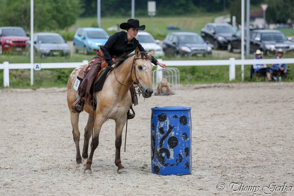 Swiss Ranch Horse Association - SRHA