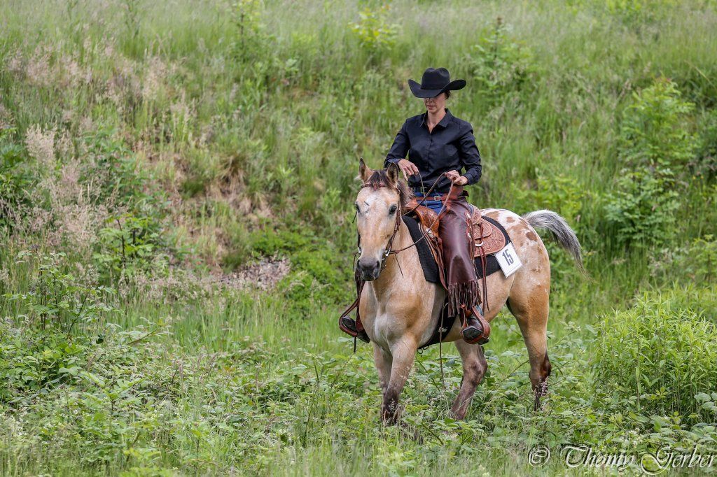 Swiss Ranch Horse Association - SRHA