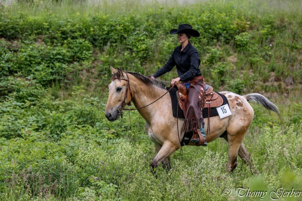 Swiss Ranch Horse Association - SRHA