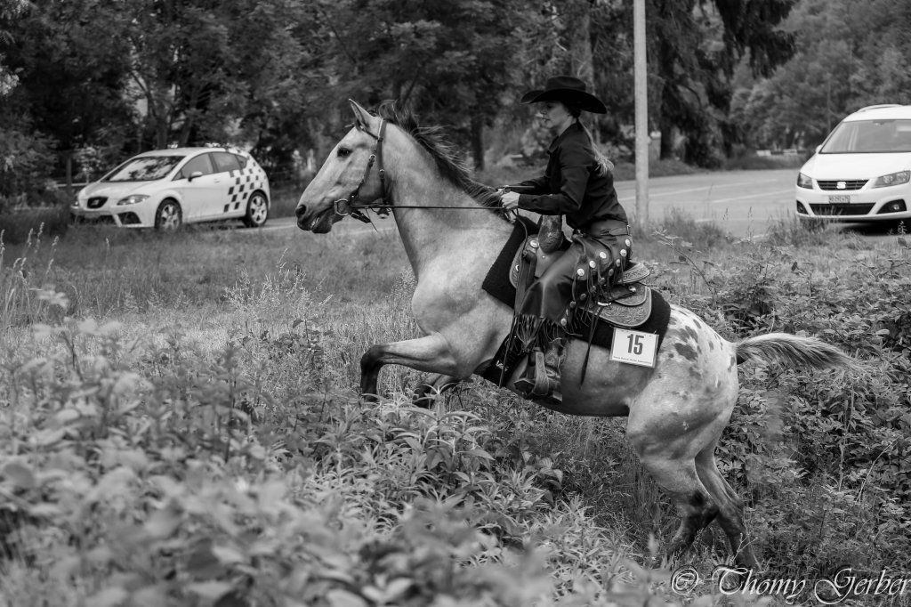 Swiss Ranch Horse Association - SRHA