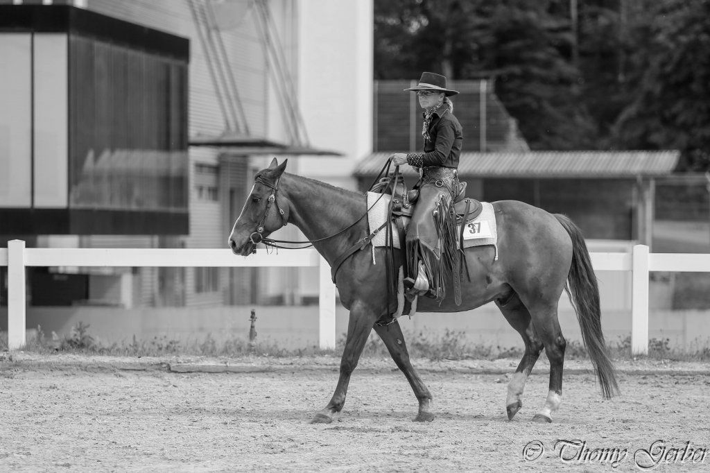 Swiss Ranch Horse Association - SRHA