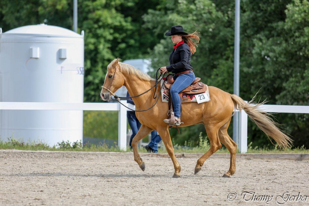 Swiss Ranch Horse Association - SRHA