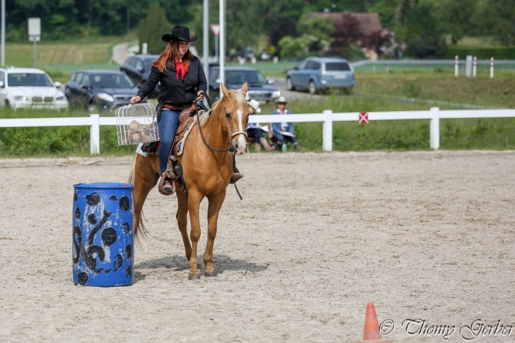 Swiss Ranch Horse Association - SRHA