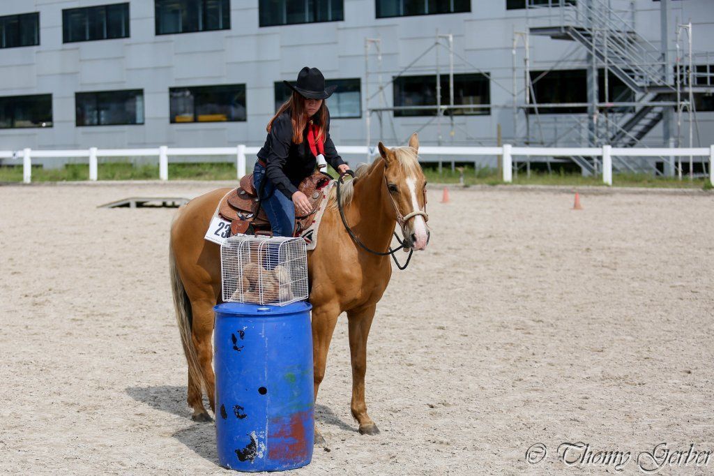 Swiss Ranch Horse Association - SRHA