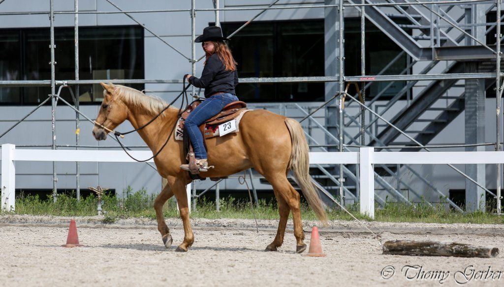 Swiss Ranch Horse Association - SRHA