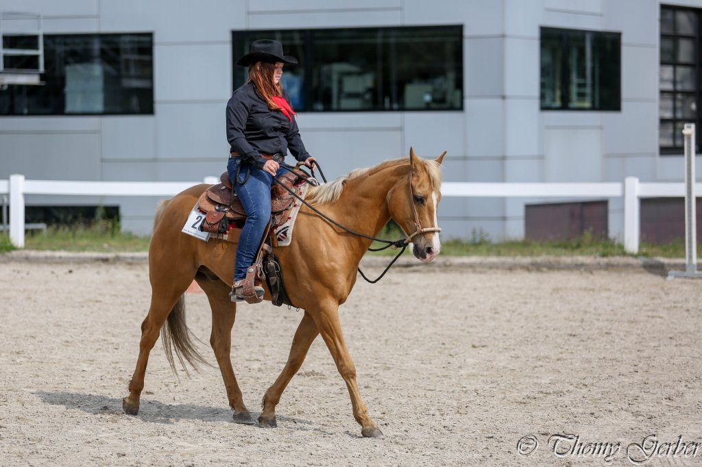 Swiss Ranch Horse Association - SRHA