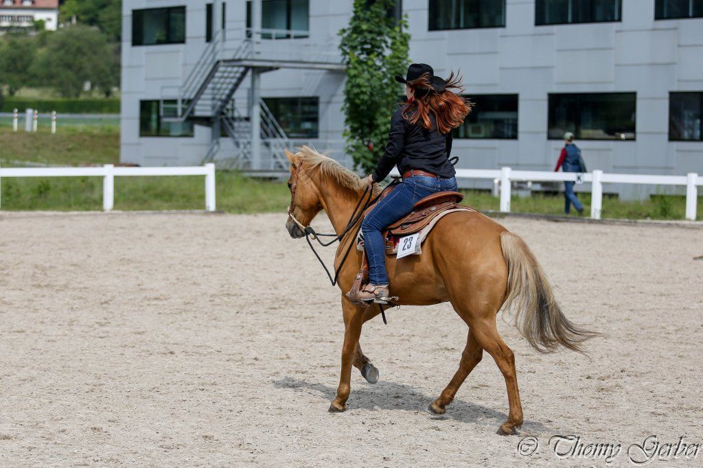 Swiss Ranch Horse Association - SRHA