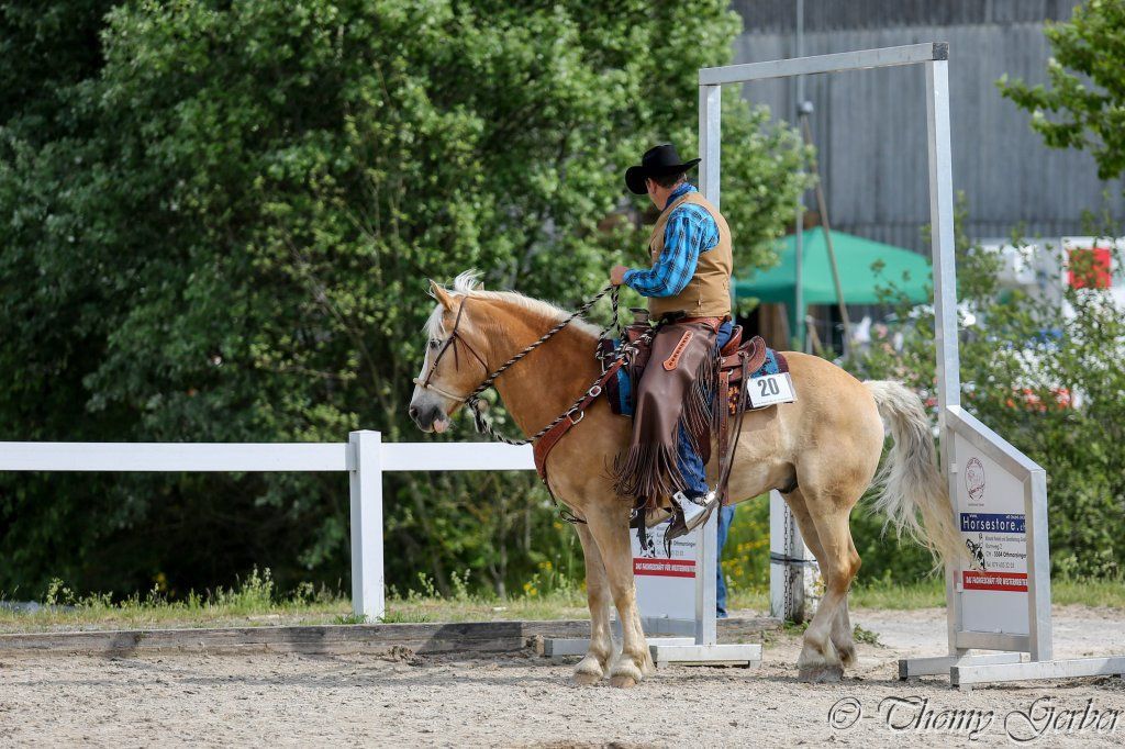 Swiss Ranch Horse Association - SRHA