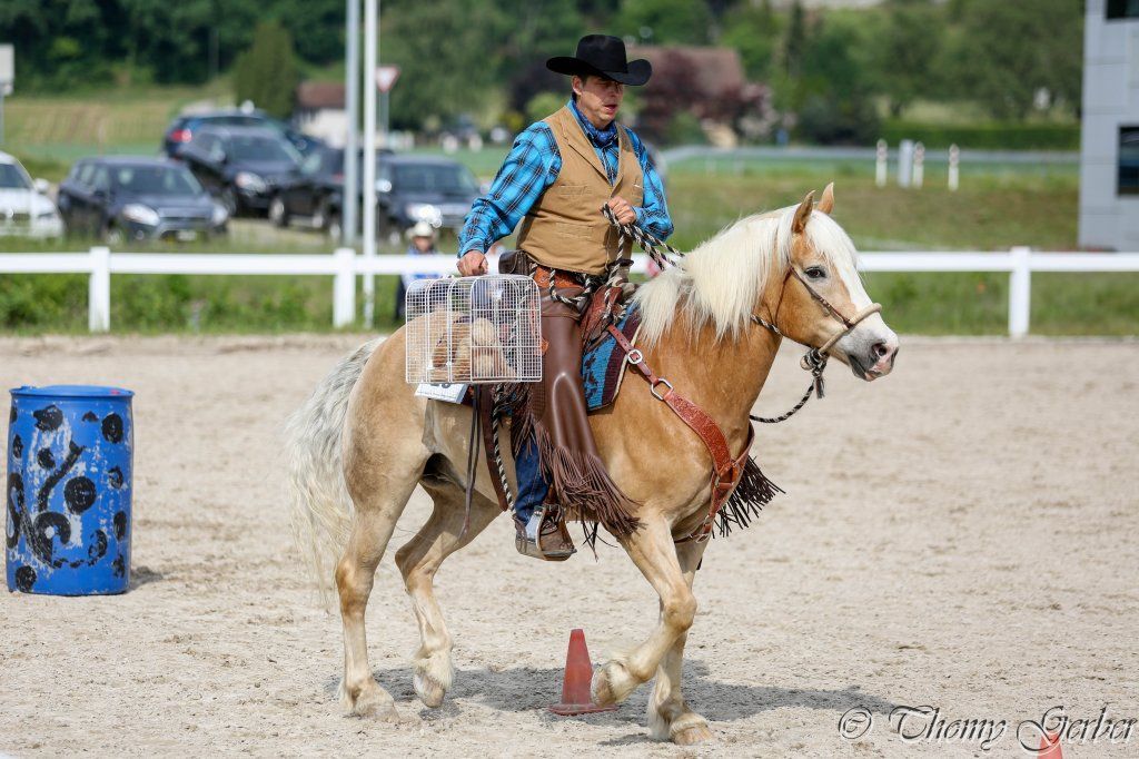 Swiss Ranch Horse Association - SRHA