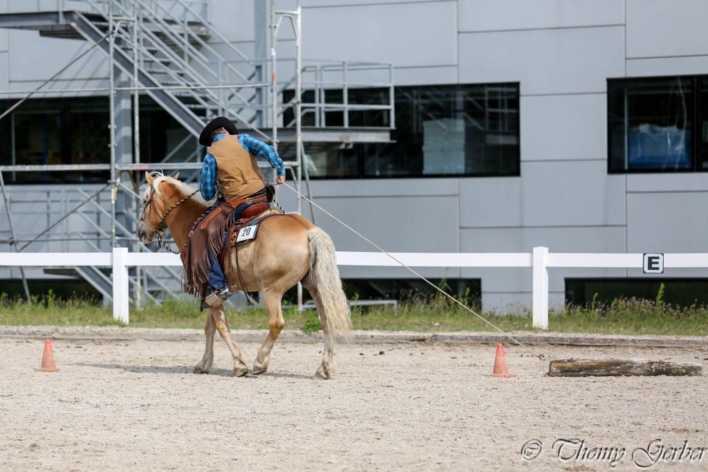 Swiss Ranch Horse Association - SRHA