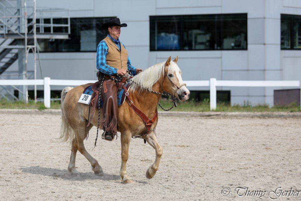 Swiss Ranch Horse Association - SRHA