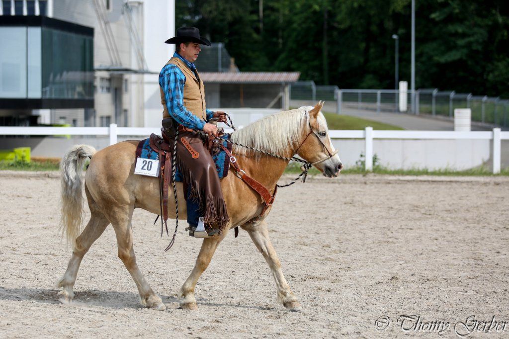 Swiss Ranch Horse Association - SRHA