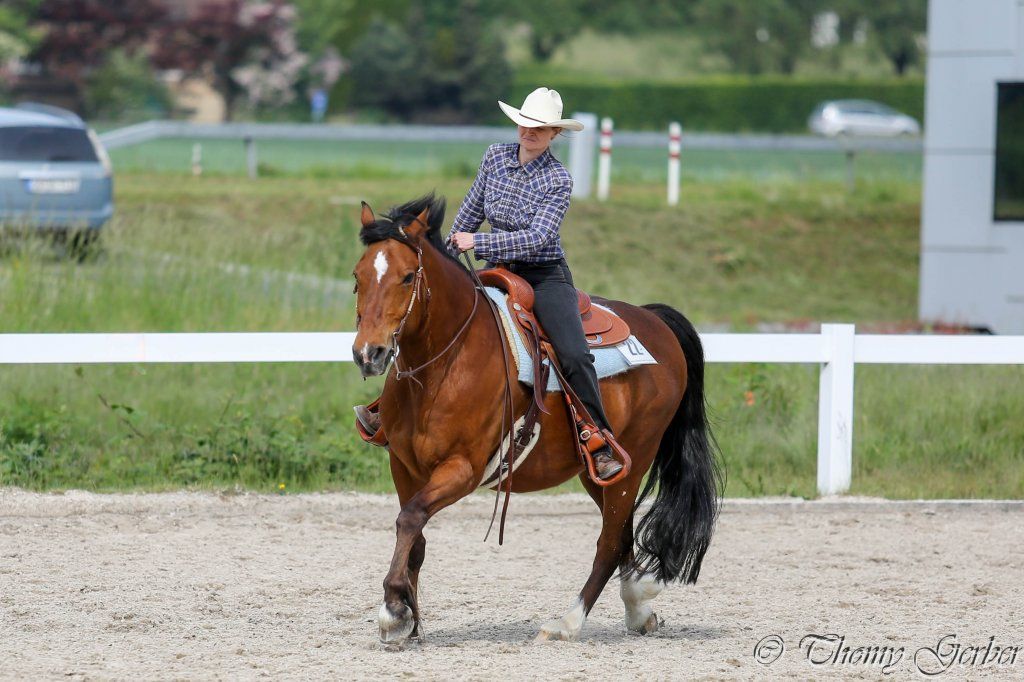 Swiss Ranch Horse Association - SRHA