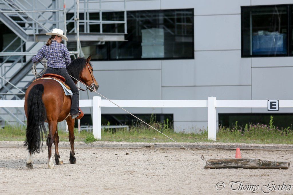 Swiss Ranch Horse Association - SRHA