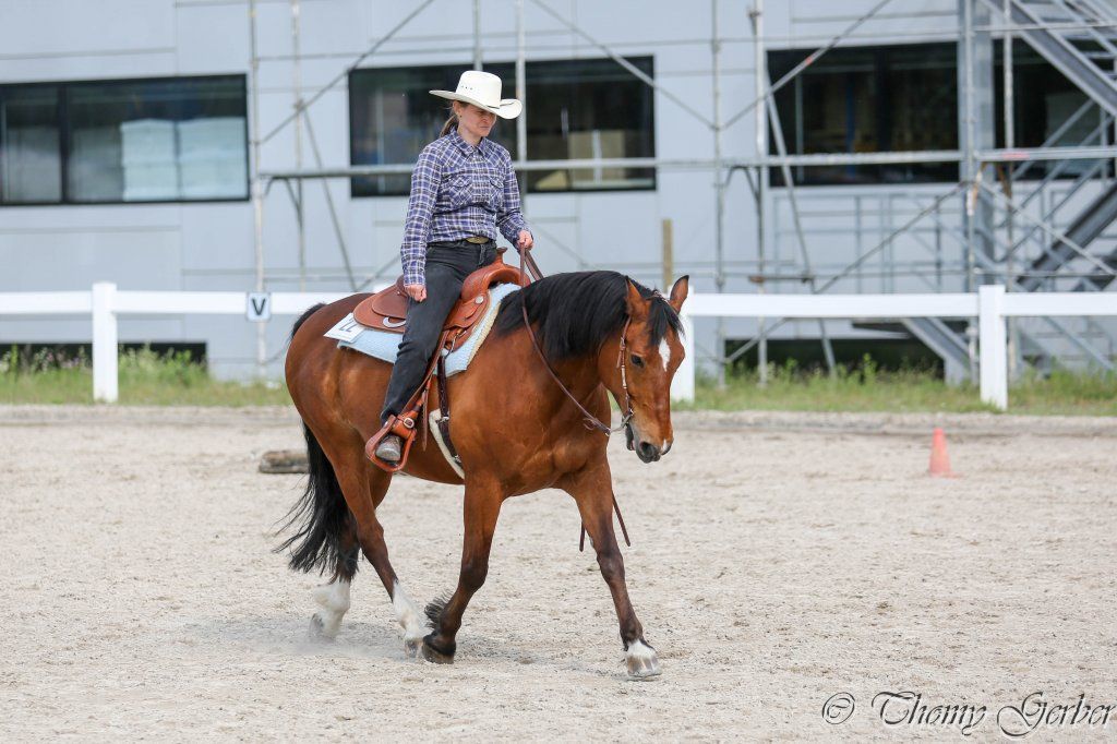 Swiss Ranch Horse Association - SRHA