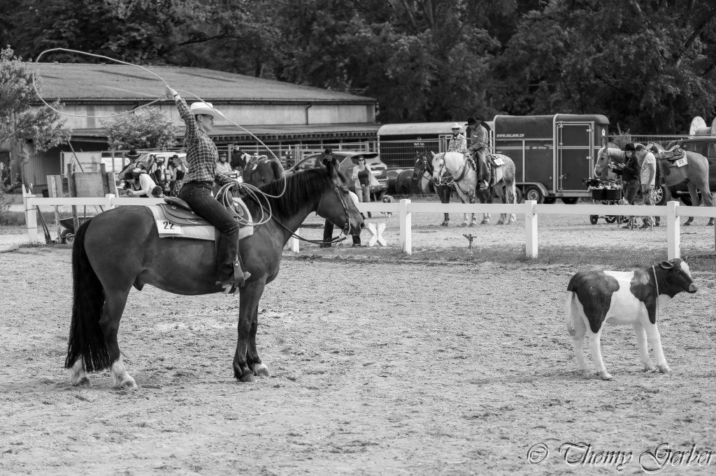 Swiss Ranch Horse Association - SRHA
