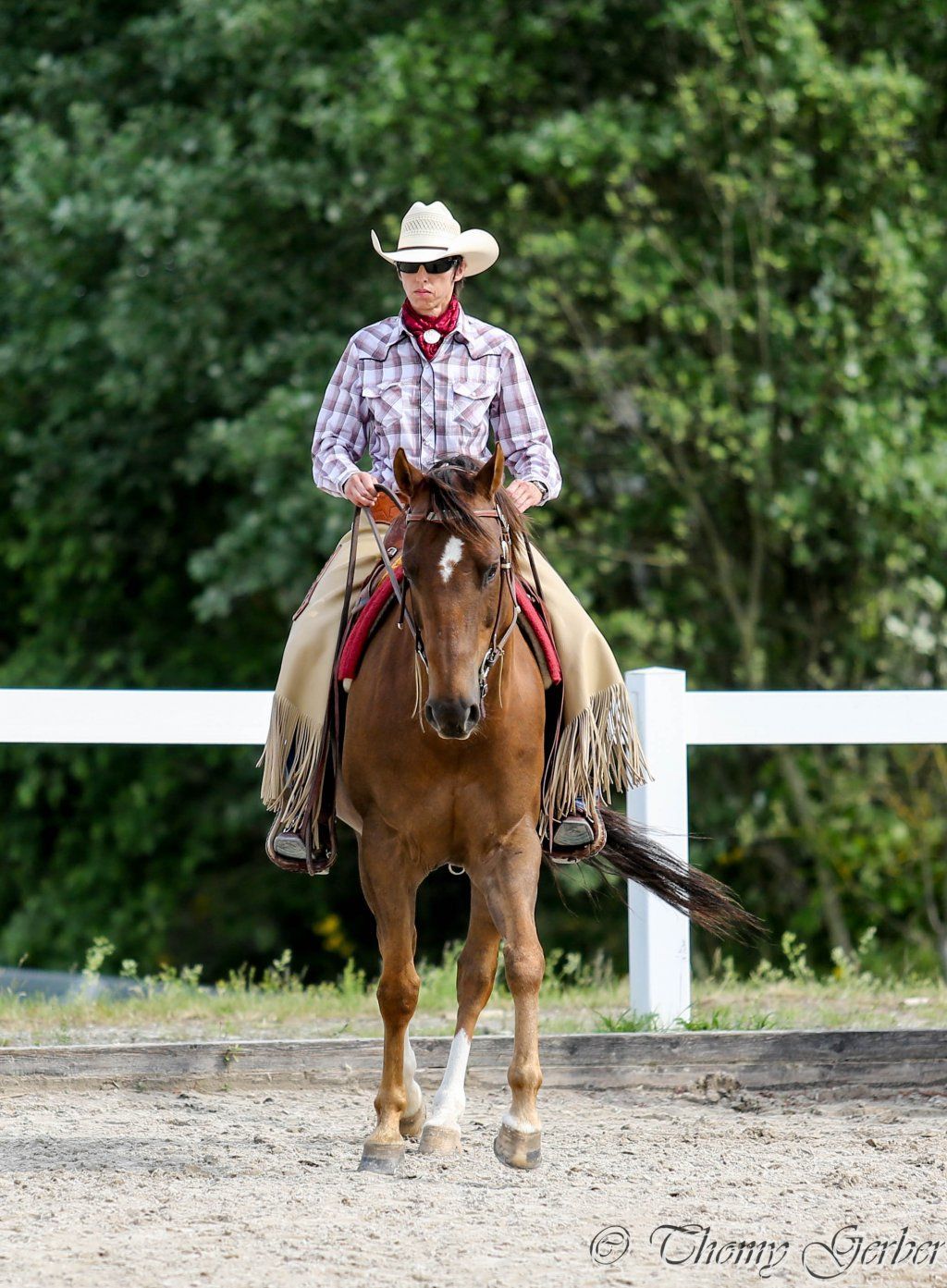 Swiss Ranch Horse Association - SRHA