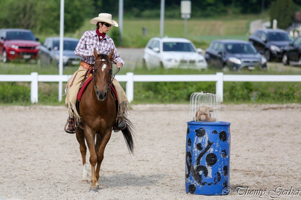 Swiss Ranch Horse Association - SRHA