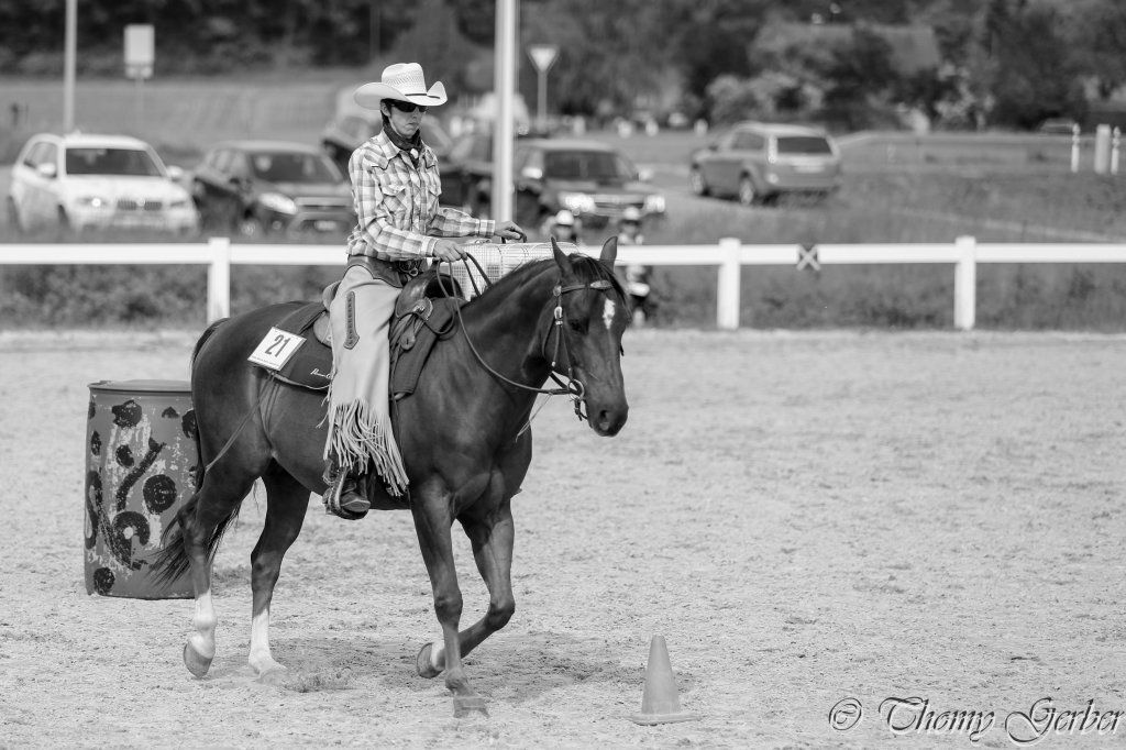 Swiss Ranch Horse Association - SRHA
