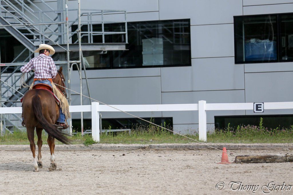 Swiss Ranch Horse Association - SRHA