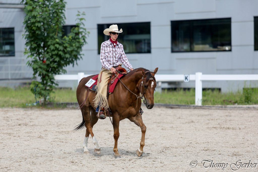 Swiss Ranch Horse Association - SRHA