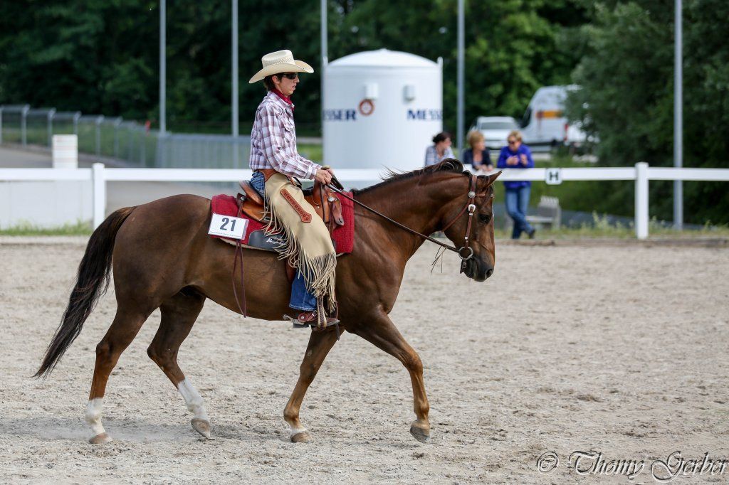 Swiss Ranch Horse Association - SRHA