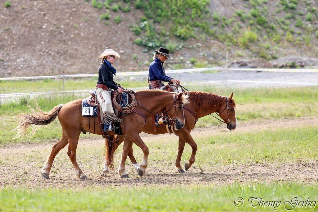 Swiss Ranch Horse Association - SRHA