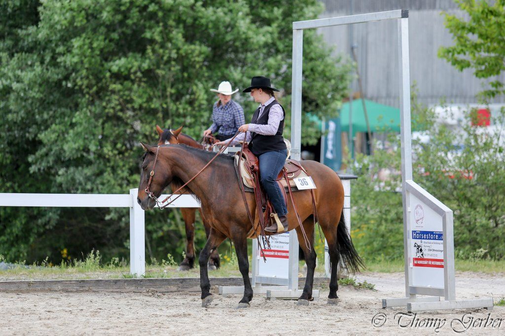 Swiss Ranch Horse Association - SRHA