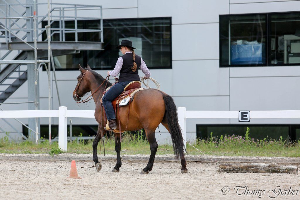 Swiss Ranch Horse Association - SRHA