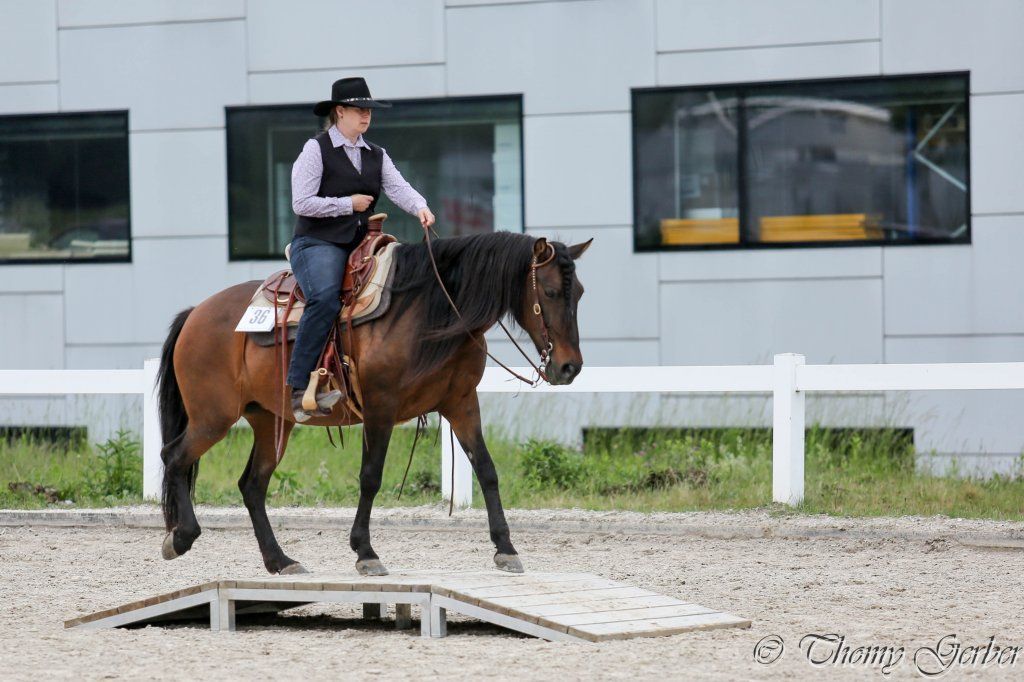 Swiss Ranch Horse Association - SRHA