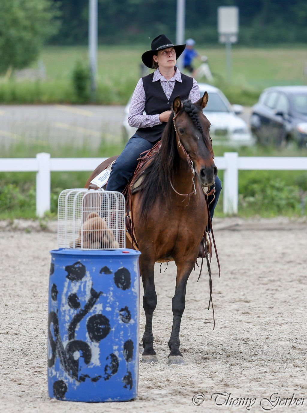 Swiss Ranch Horse Association - SRHA