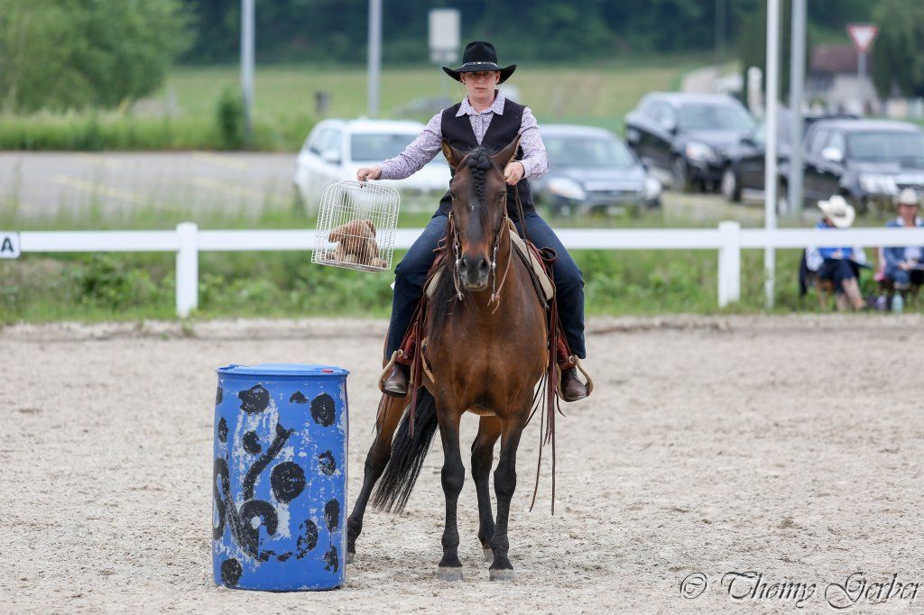 Swiss Ranch Horse Association - SRHA