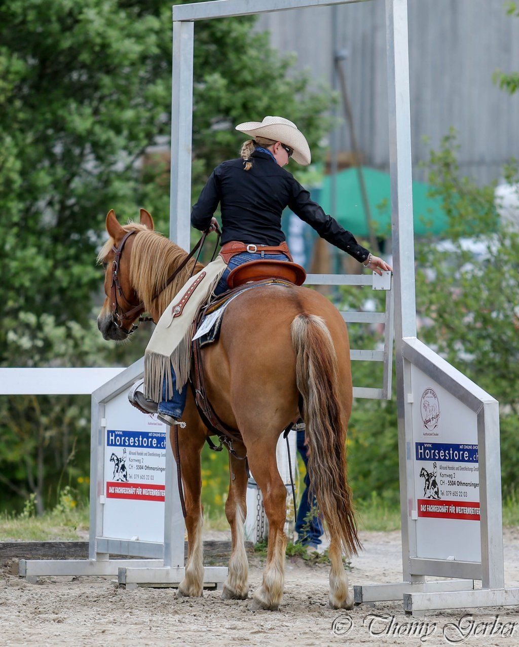Swiss Ranch Horse Association - SRHA