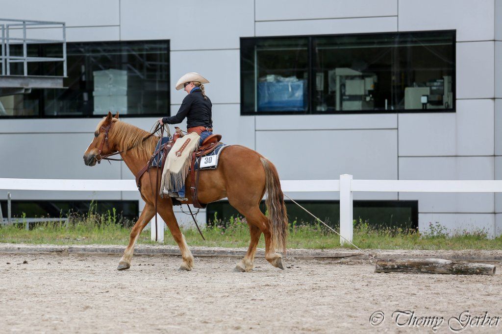 Swiss Ranch Horse Association - SRHA