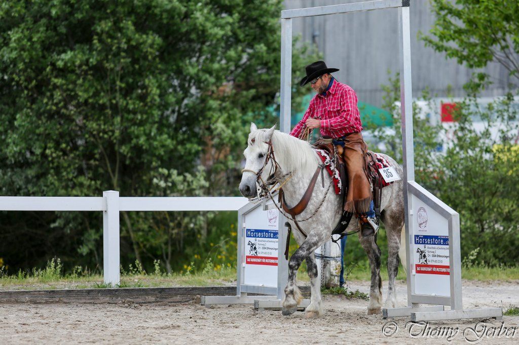 Swiss Ranch Horse Association - SRHA