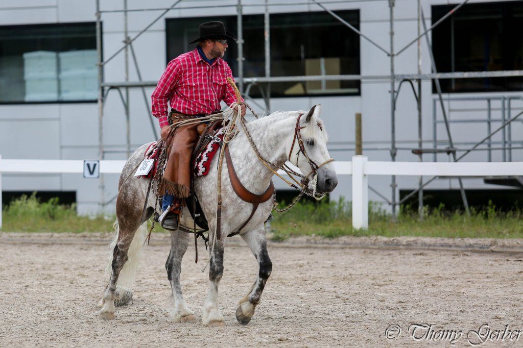 Swiss Ranch Horse Association - SRHA