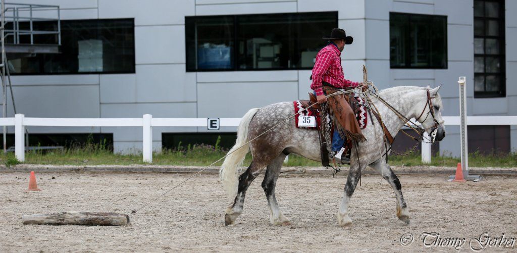 Swiss Ranch Horse Association - SRHA