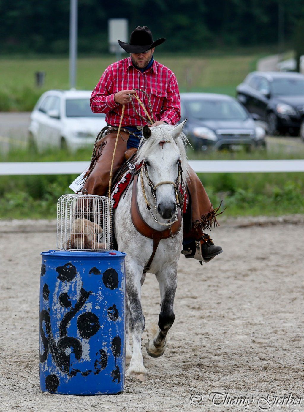 Swiss Ranch Horse Association - SRHA